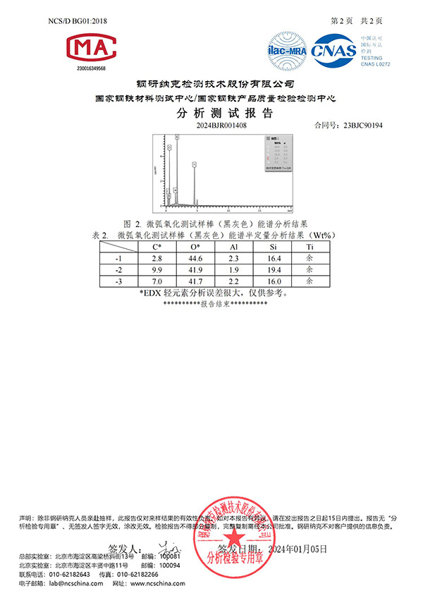 分析测试报告2